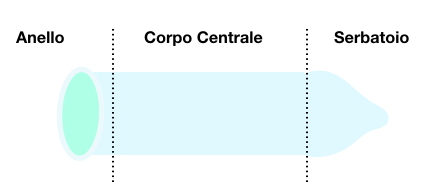 Da cosa è composto un preservativo